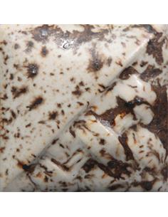 SW155 Winter Wood 473ml (1pint)