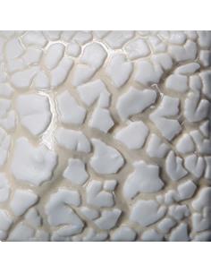 SW403 White Mudcrack 473ml (1pint)