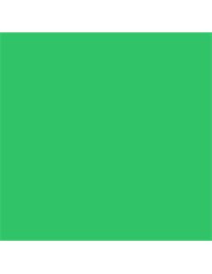 CK14055 colorante verde claro 100g