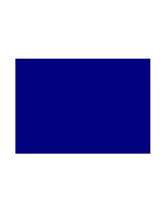CK15063 colorante azul añil 100g