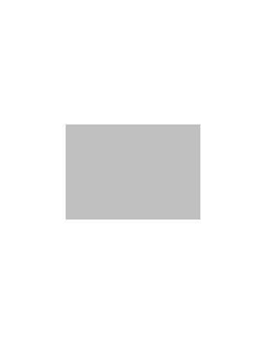 CK501 colorante gris medio 100g