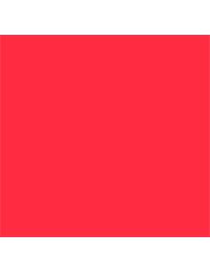 K2421 colorante rojo 100g