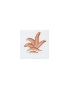 VP3101 colorante coral 100g
