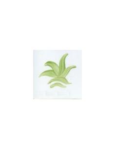 VP3150 colorante verde victoria 100g