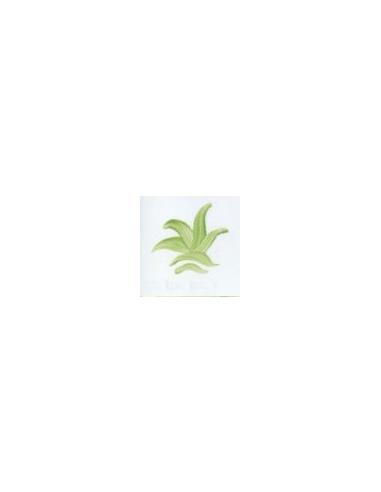 VP3150 colorante verde victoria 100g