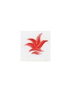 VP3306 colorante rojo sangre 25g