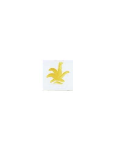 VP3249 colorante amarillo gualda 250g