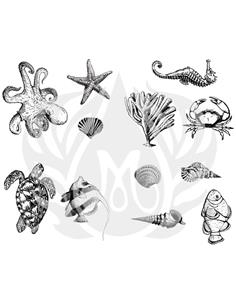 DSS102 Designer Silkscreen Sea Life