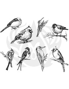 DSS108 Designer Silkscreen Aviari Small Birds