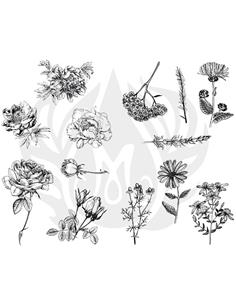 DSS112 Designer Silkscreen Flowers