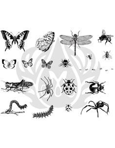 DSS113 Designer Silkscreen Bugs