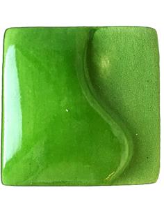 574 Grass Green 118ml (4oz)