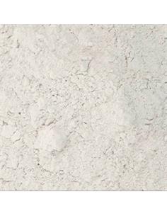 EUROPA blanca predefloculada polvo 5kg