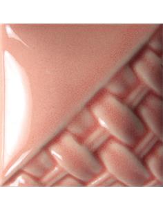 SW205 Coral 473ml (1pint)