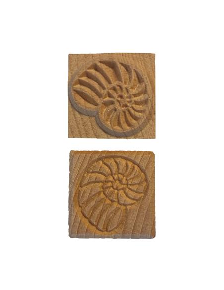 SSM-121 Stamp Medium Square Ammonite