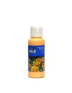 Acrilico carne 80ml