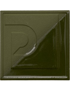 EASP-10 Engobe verde Hierba 1kg