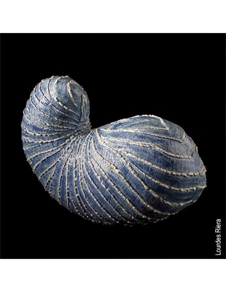 ALETSCH porcelana con moloquita 5kg ALETSCH porcelana con moloquita 5kg