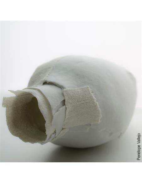 CELLULAIN® porcelana con fibra de papel 5kg CELLULAIN® porcelana con fibra de papel 5kg