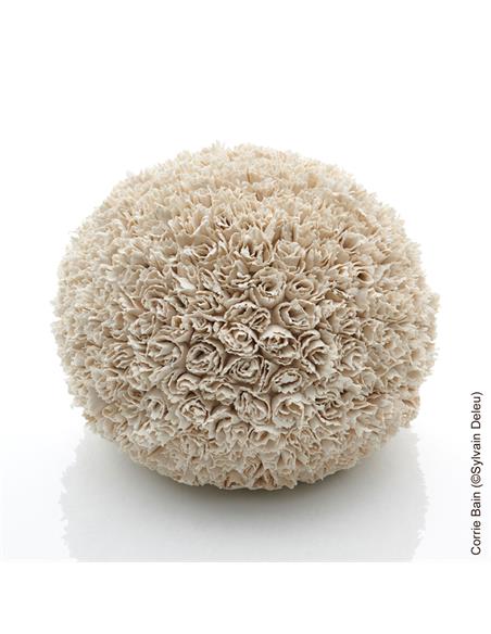 ANETO porcelana blanca 5kg