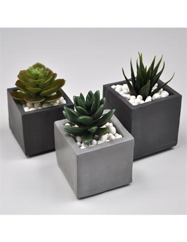 PLUS Gris 1kg Envase Clásico