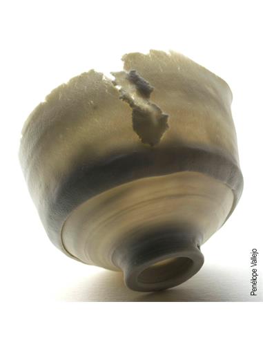 CELLULAIN® porcelana con fibra de papel 5kg