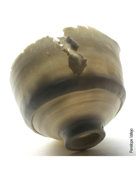 CELLULAIN® porcelana con fibra de papel 5kg