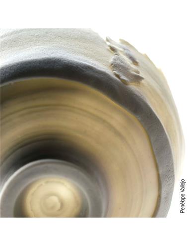 CELLULAIN® porcelana con fibra de papel 5kg