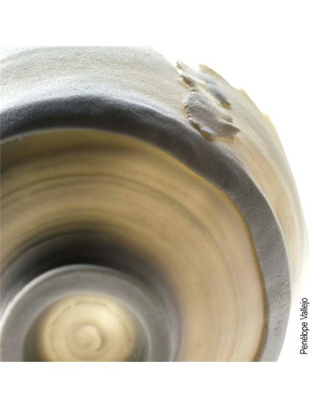 CELLULAIN® porcelana con fibra de papel 5kg CELLULAIN® porcelana con fibra de papel 5kg