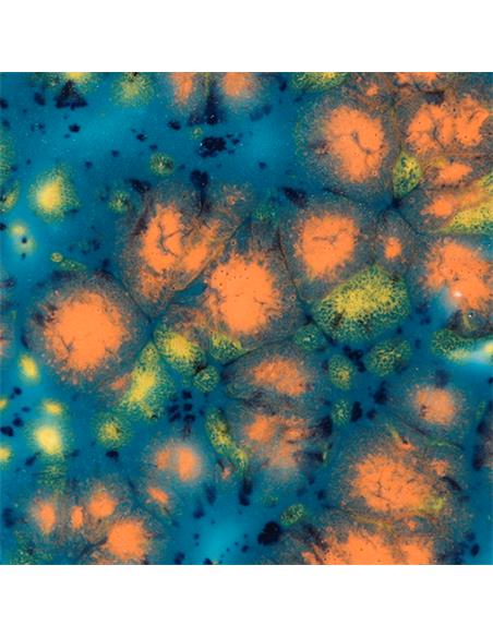 CG983 Koi Pond 118ml (4oz)