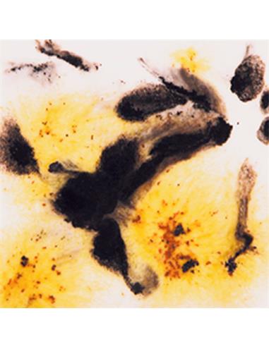 S2726 Cheetah 118ml (4oz)