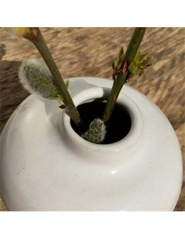 9876 Weiss glänzend 1220-1280ºC 800ml