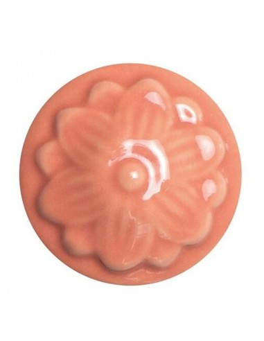 BLS 985 Coral 236ml (8oz)