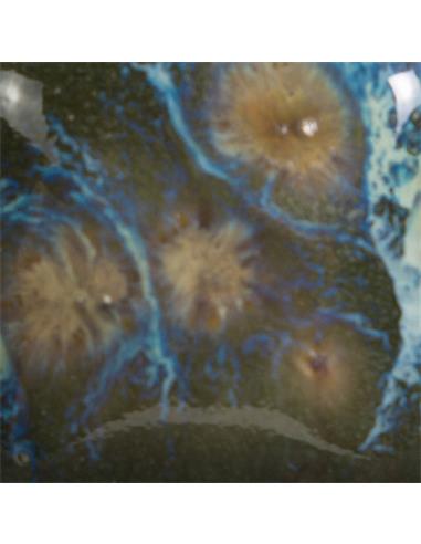 CG780 Mystic Jade 118ml (4oz)