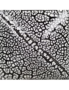 SG202 White Cobblestone 118ml (4oz)