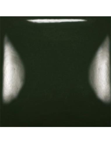 SC008 Just Froggy 236ml (8oz)