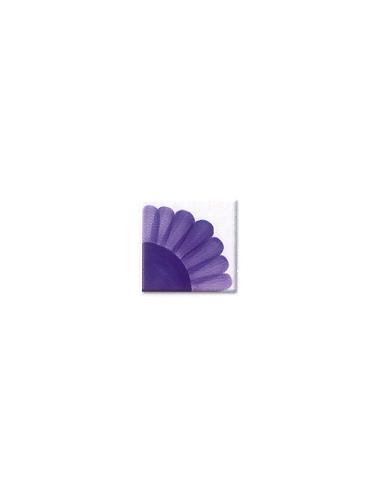 HC-0443 bajo esmalte púrpura 30ml